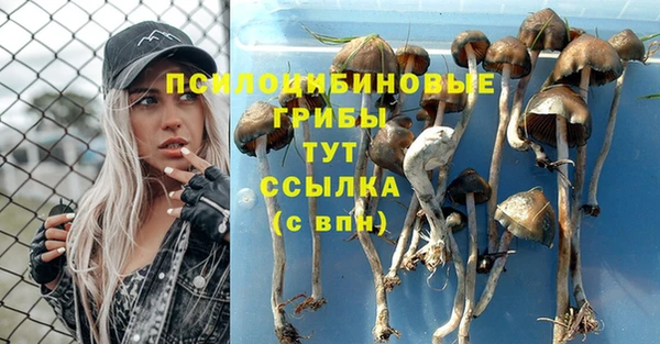 не бодяженный Медвежьегорск