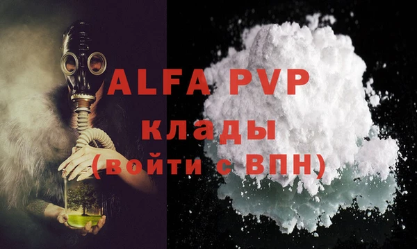стаф Весьегонск