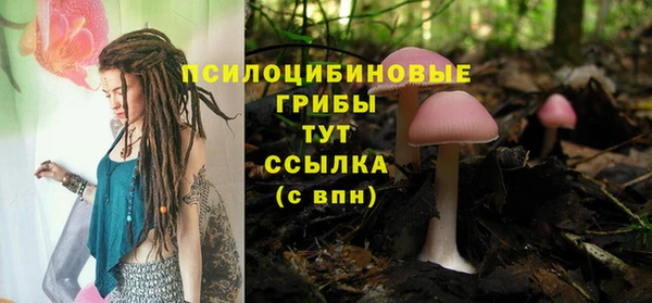 СК Михайлов