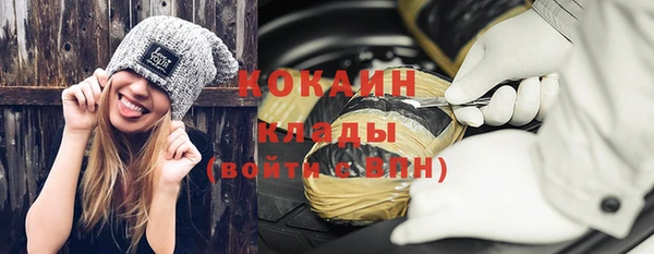 индика Видное