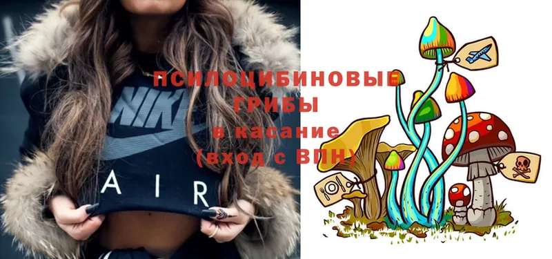 Псилоцибиновые грибы Psilocybe  это какой сайт  Кандалакша  что такое   kraken как войти 