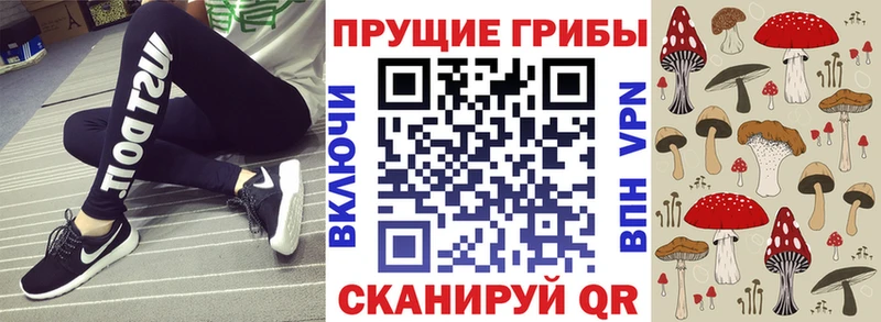 Псилоцибиновые грибы Psilocybe  кракен онион  Кандалакша  закладки 