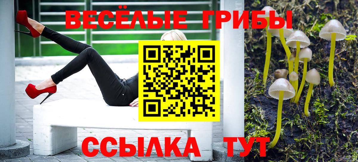 Псилоцибиновые грибы Psilocybine cubensis  Псилоцибиновые грибы мицелий  купить наркотик  Кандалакша 