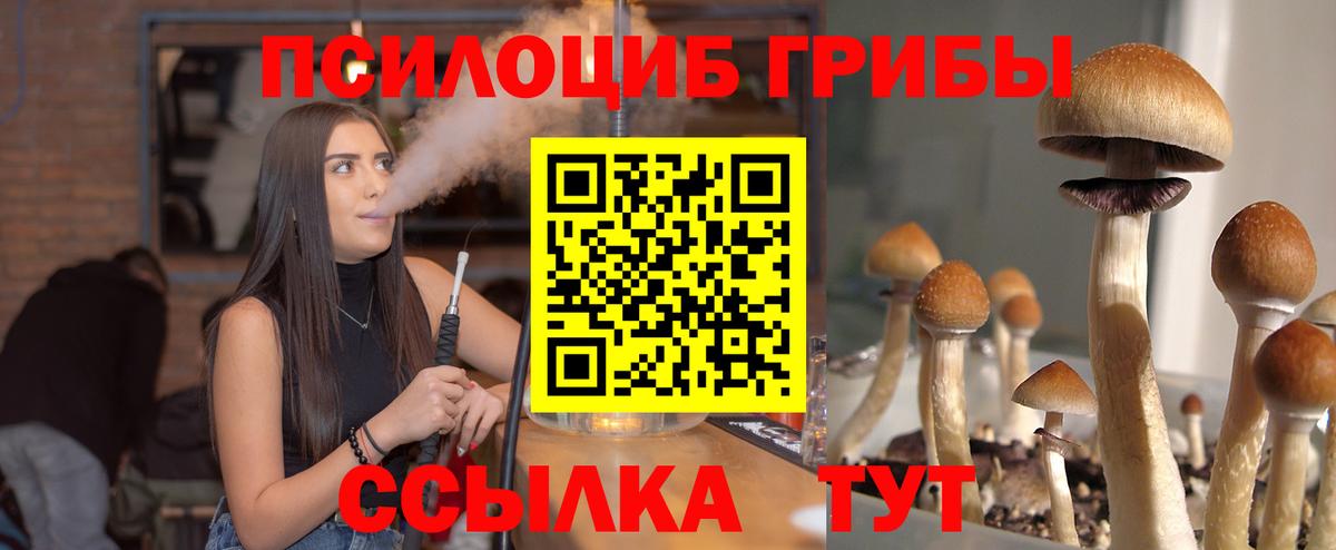 Кандалакша  Галлюциногенные грибы MAGIC MUSHROOMS  Вход с VPN 