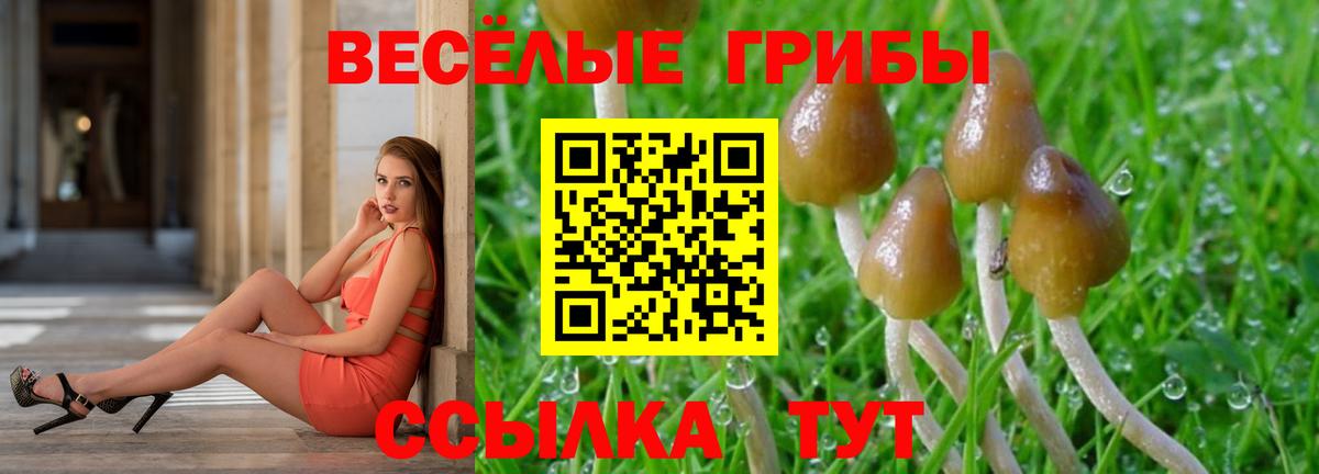 Псилоцибиновые грибы Magic Shrooms Кандалакша