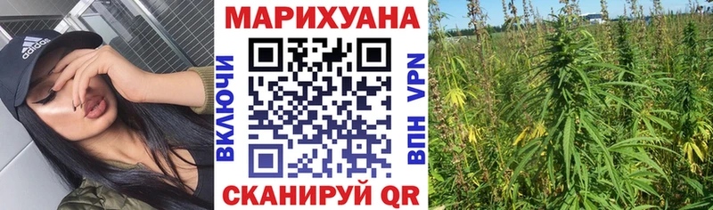 omg как войти  Кандалакша  Марихуана тримм  где найти наркотики 