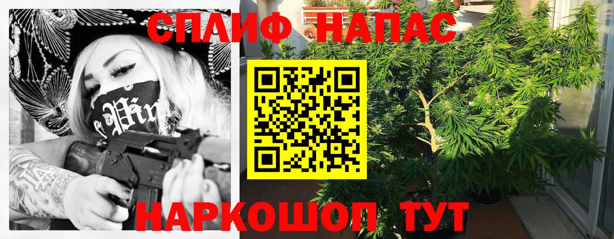 Бошки Шишки марихуана Кандалакша